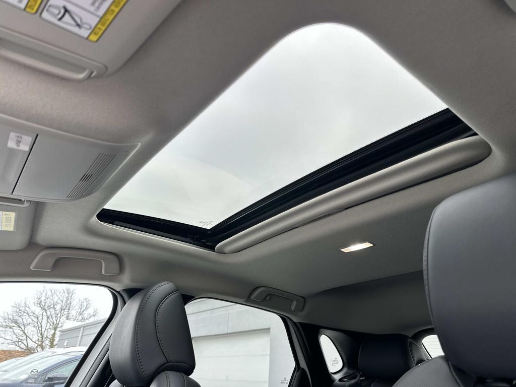 2025 Mazda Mazda CX-30 2.5 S Premium Package