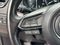 2023 Mazda Mazda CX-9 Carbon Edition