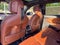 2027 BMW X5 40 xDrive
