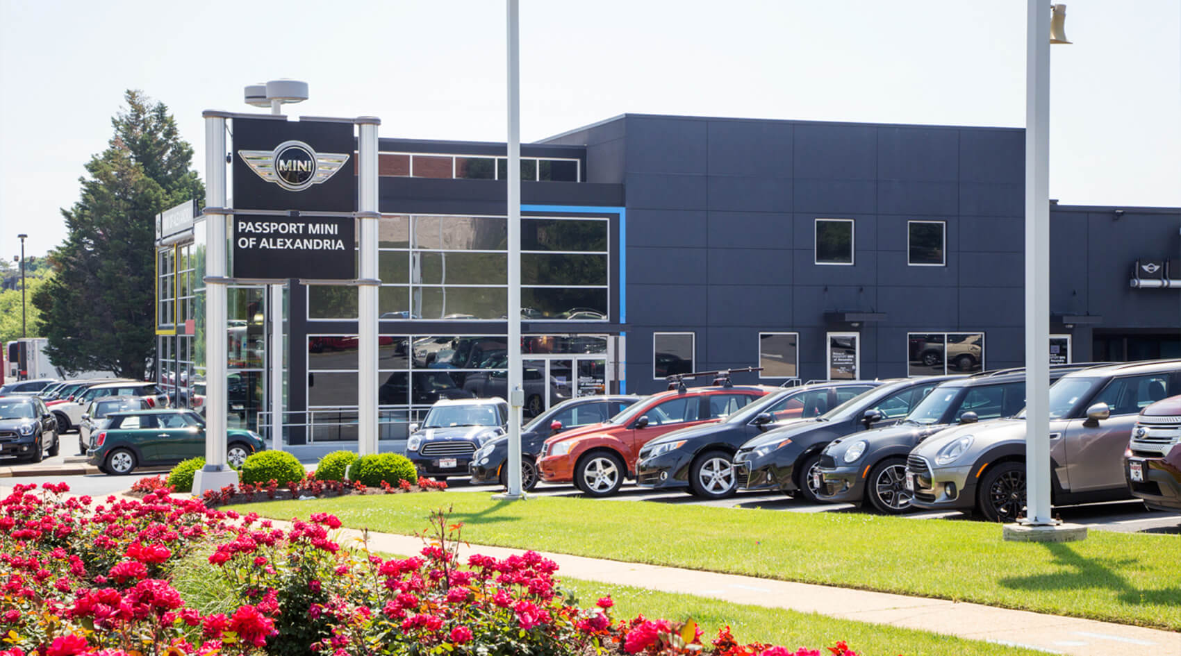 MINI of Alexandria