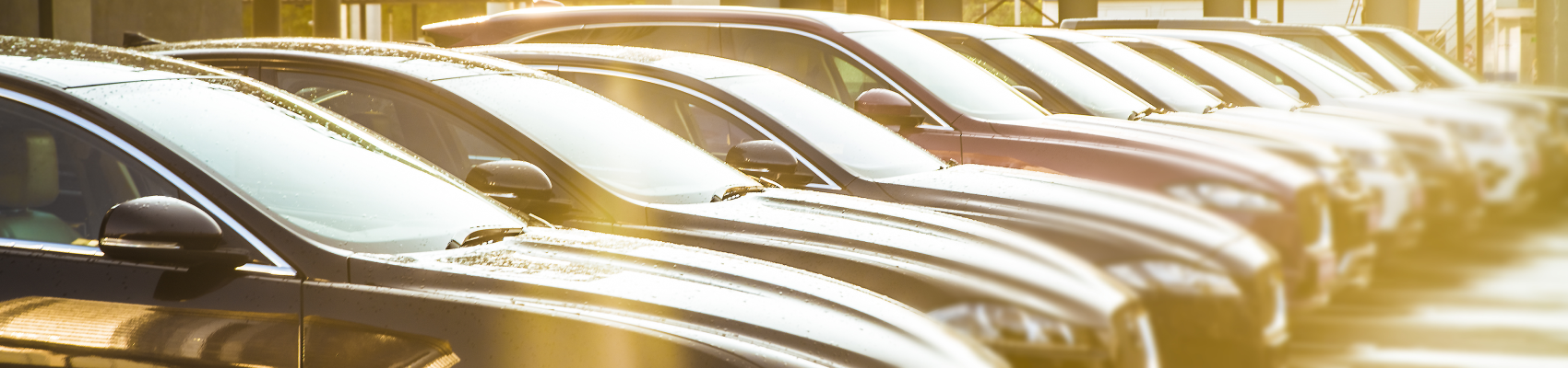 Used Car Dealer near Me